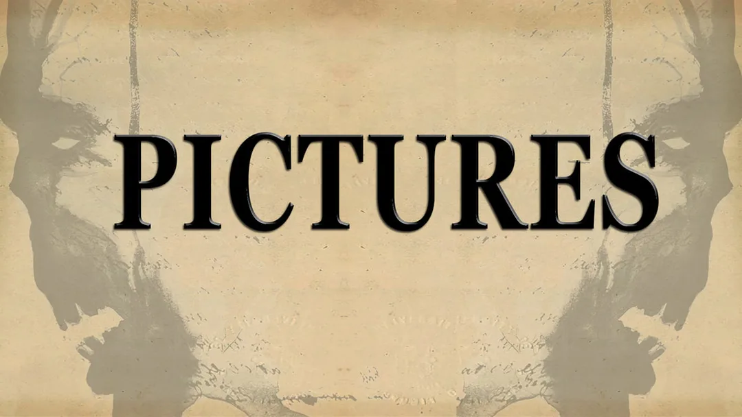 Picture
